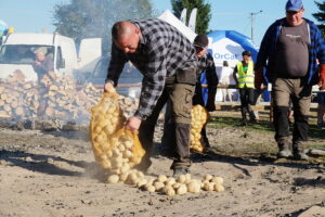 Dębno królestwem pieczonego ziemniaka - Radio Kielce