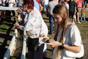 Dębno królestwem pieczonego ziemniaka - Radio Kielce