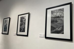 26.09.2025. Sandomierz. Wystawa fotograficzna Alicji Przybyszowskiej pt. „Transmutacje" / Fot. Grażyna Szlęzak-Wójcik - Radio Kielce