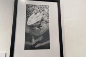 26.09.2025. Sandomierz. Wystawa fotograficzna Alicji Przybyszowskiej pt. „Transmutacje" / Fot. Grażyna Szlęzak-Wójcik - Radio Kielce