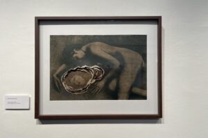 26.09.2025. Sandomierz. Wystawa fotograficzna Alicji Przybyszowskiej pt. „Transmutacje" / Fot. Grażyna Szlęzak-Wójcik - Radio Kielce