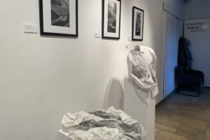 26.09.2025. Sandomierz. Wystawa fotograficzna Alicji Przybyszowskiej pt. „Transmutacje" / Fot. Grażyna Szlęzak-Wójcik - Radio Kielce