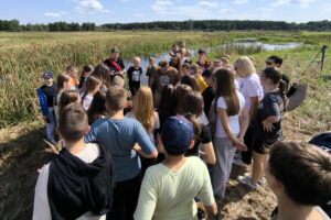 Na Ponidzie wracają żółwie błotne - Radio Kielce
