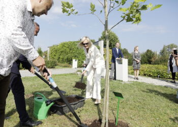 09.09.2025. Kielce. Ogród Botaniczny. Platan „Gustaw” zasadzony na 80-lecie Pedagogicznej Biblioteki Wojewódzkiej / Fot. Jarosław Kubalski - Radio Kielce