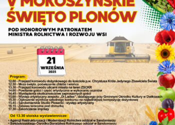 V Mokoszyńskie Święto Plonów w Sandomierzu - Radio Kielce