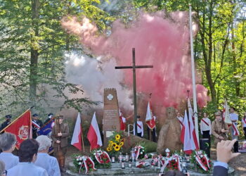 Biało-czerwona pamięć w środku lasu