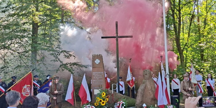 Biało-czerwona pamięć w środku lasu
