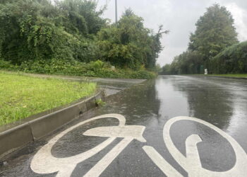 Palma pierwszeństwa za strzały w Starachowicach