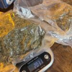 Fot. Policja Świętokrzyska