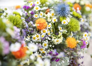 Mistrz świata sztuki florystycznej pochodzi z Rakowa