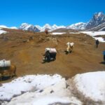 Nepal / Fot. Katarzyna Barwicka