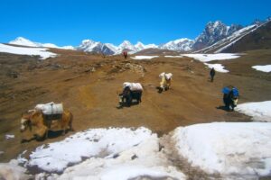 Nepal / Fot. Katarzyna Barwicka
