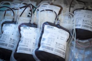 Oddali prawie 30 litrów bezcennego leku - Radio Kielce Oddali prawie 30 litrów bezcennego leku - Radio Kielce