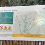 Bejsce. Farma wiatrowa / Fot. Marta Gajda-Kruk - Radio Kielce