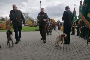 16.10.2025. Pińczów. Mistrzostwa Świata Wyżłów / Fot. Marta Gajda-Kruk - Radio Kielce