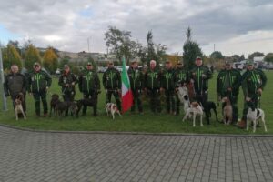16.10.2025. Pińczów. Mistrzostwa Świata Wyżłów / Fot. Marta Gajda-Kruk - Radio Kielce