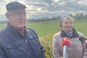 22.10.2025. Staszów. Aleja 500-lecia Staszowa / Fot. Grażyna Szlęzak-Wójcik - Radio Kielce