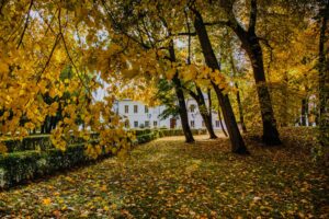 Park przy zabytkowym pałacu Kołłątajów w Wiśniowej / źródło: Urząd Miasta w Staszowie