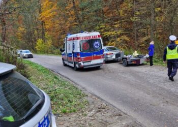 17-latek uderzył motocyklem w drzewo - Radio Kielce 26.10.2025. Bogoria. Wypadek / Fot. policja Staszów