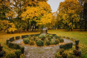 Park przy zabytkowym pałacu Kołłątajów w Wiśniowej / źródło: Urząd Miasta w Staszowie