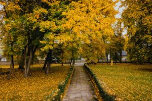 Park przy zabytkowym pałacu Kołłątajów w Wiśniowej / źródło: Urząd Miasta w Staszowie