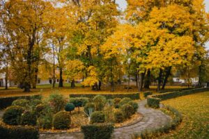 Park przy zabytkowym pałacu Kołłątajów w Wiśniowej / źródło: Urząd Miasta w Staszowie