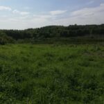 Grunt, znajduje się w miejscowości Głotowo w gminie Dobre Miasto w powiecie olsztyńskim / Fot. UMIG Skalbmierz