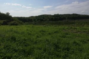 Grunt, znajduje się w miejscowości Głotowo w gminie Dobre Miasto w powiecie olsztyńskim / Fot. UMIG Skalbmierz