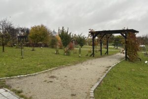 24.10.2025. Kielce. Ogród botaniczny / Fot. Marcin Marszałek - Radio Kielce