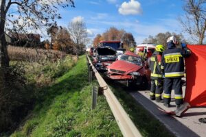 25.10.2025. Droga wojewódzka nr 751. Wzdół Kolonia. Wypadek / Fot. OSP Wzdół
