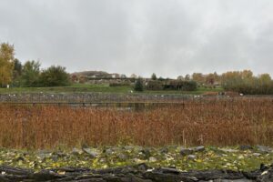 24.10.2025. Kielce. Ogród botaniczny / Fot. Marcin Marszałek - Radio Kielce