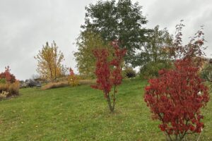 24.10.2025. Kielce. Ogród botaniczny / Fot. Marcin Marszałek - Radio Kielce