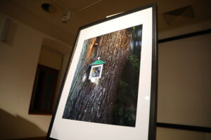 Ślady przemijającego czasu w kapliczkach nadrzewnych - Radio Kielce 28.10.2025. Kielce. OMPiO. Wernisaż wystawy zdjęć „Kapliczki nadrzewne” / Fot. Wiktor Taszłow – Radio Kielce