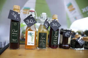 05.10.2025. Kielce. Ogród Botaniczny. „Skarby jesieni – winobranie” / Fot. Wiktor Taszłow - Radio Kielce