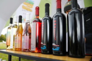 05.10.2025. Kielce. Ogród Botaniczny. „Skarby jesieni – winobranie” / Fot. Wiktor Taszłow - Radio Kielce