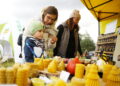 05.10.2025. Kielce. Ogród Botaniczny. „Skarby jesieni – winobranie” / Fot. Wiktor Taszłow - Radio Kielce