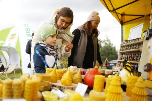 05.10.2025. Kielce. Ogród Botaniczny. „Skarby jesieni – winobranie” / Fot. Wiktor Taszłow - Radio Kielce