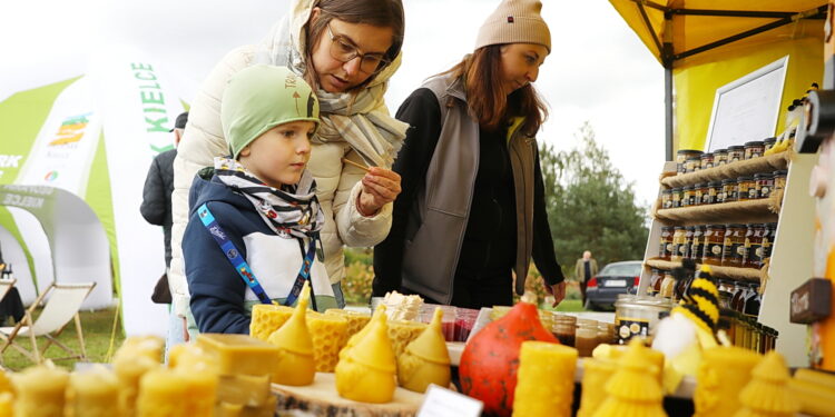 05.10.2025. Kielce. Ogród Botaniczny. „Skarby jesieni – winobranie” / Fot. Wiktor Taszłow - Radio Kielce