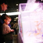 19.10.2025. Kielce. Targi Kielce. Exotic Fest / Fot. Wiktor Taszłow - Radio Kielce