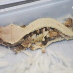 19.10.2025. Kielce. Targi Kielce. Exotic Fest / Fot. Wiktor Taszłow - Radio Kielce