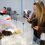 19.10.2025. Kielce. Targi Kielce. Exotic Fest / Fot. Wiktor Taszłow - Radio Kielce