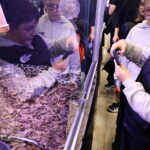 19.10.2025. Kielce. Targi Kielce. Exotic Fest / Fot. Wiktor Taszłow - Radio Kielce