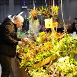 19.10.2025. Kielce. Targi Kielce. Exotic Fest / Fot. Wiktor Taszłow - Radio Kielce