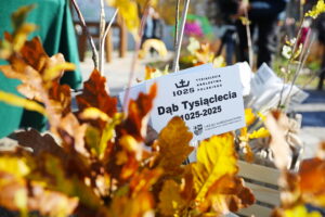21.10.2025. Zagnańsk. Akcja "Tysiąc dębów na Tysiąclecie" / Fot. Wiktor Taszłow - Radio Kielce