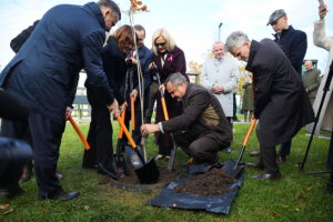 21.10.2025. Zagnańsk. Akcja "Tysiąc dębów na Tysiąclecie" / Fot. Wiktor Taszłow - Radio Kielce
