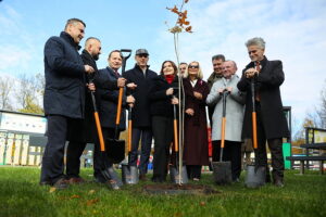 21.10.2025. Zagnańsk. Akcja "Tysiąc dębów na Tysiąclecie" / Fot. Wiktor Taszłow - Radio Kielce