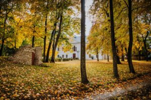 Park przy zabytkowym pałacu Kołłątajów w Wiśniowej / źródło: Urząd Miasta w Staszowie