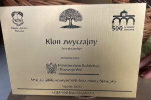 22.10.2025. Staszów. Aleja 500-lecia Staszowa / Fot. Grażyna Szlęzak-Wójcik - Radio Kielce