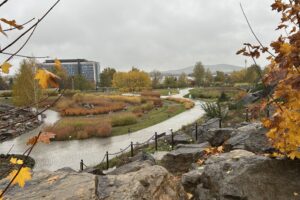 24.10.2025. Kielce. Ogród botaniczny / Fot. Marcin Marszałek - Radio Kielce