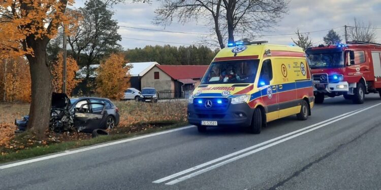 19.10.2025. Rozgół. Wypadek / Fot. PSP Końskie